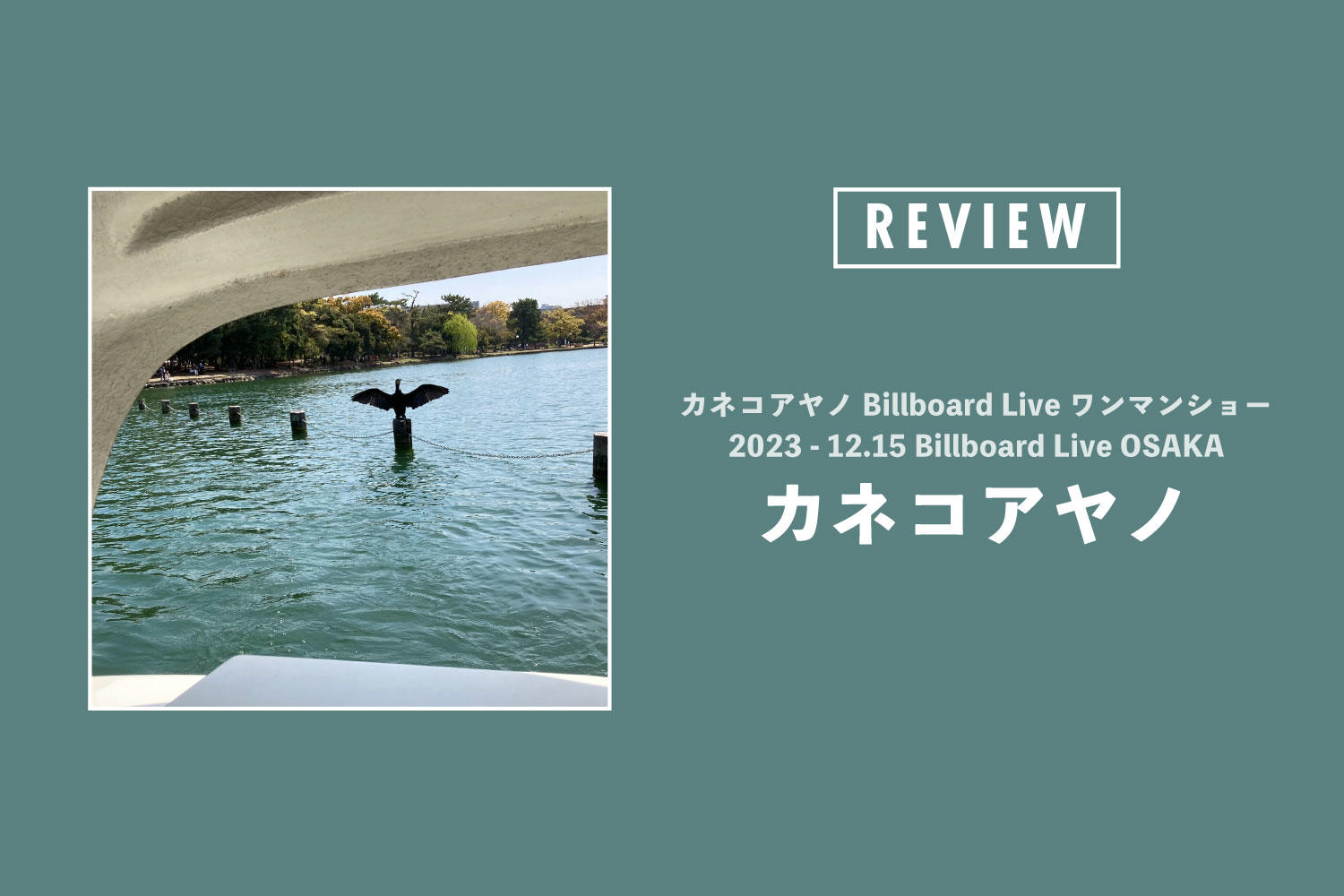 カネコアヤノ「カネコアヤノ Billboard Live ワンマンショー 2023 - 12.15 Billboard Live OSAKA」──2人の「対話」が聞こえてくるようなデュオ・ライヴ