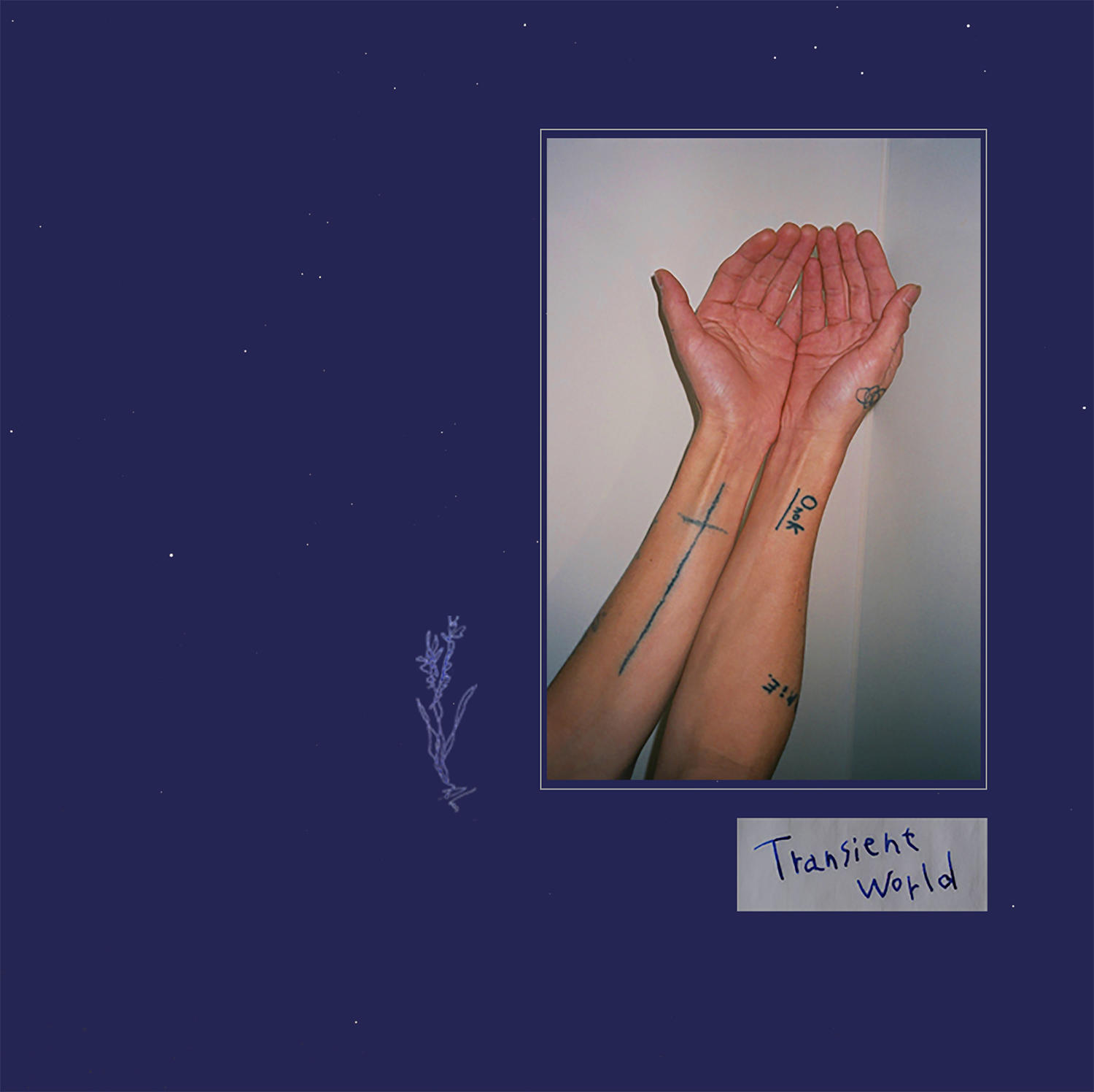 下津光史-Transient  world_ジャケ_re.jpg