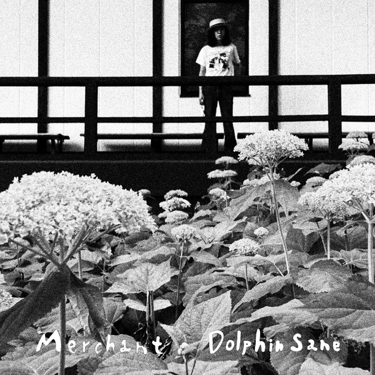 Dolphin-Sane(ジャケ).jpg
