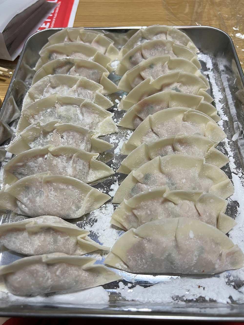 freesian_gyoza.jpg