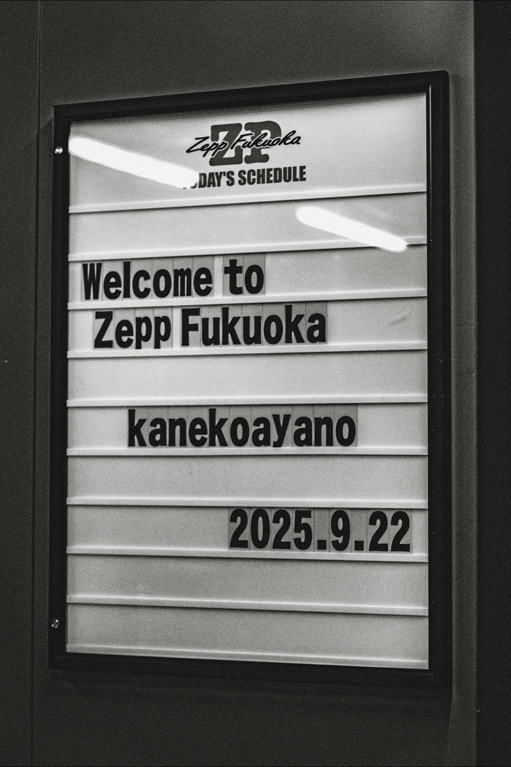8220.jpg