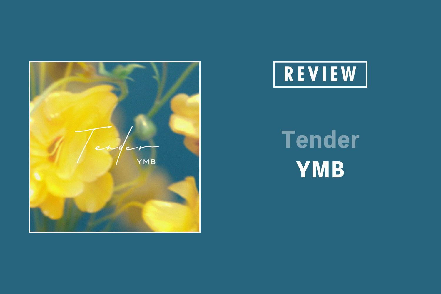 YMB 「Tender」 ──ポップソングの名手たる4人組が紬ぐ、ポストコロナのハートビート