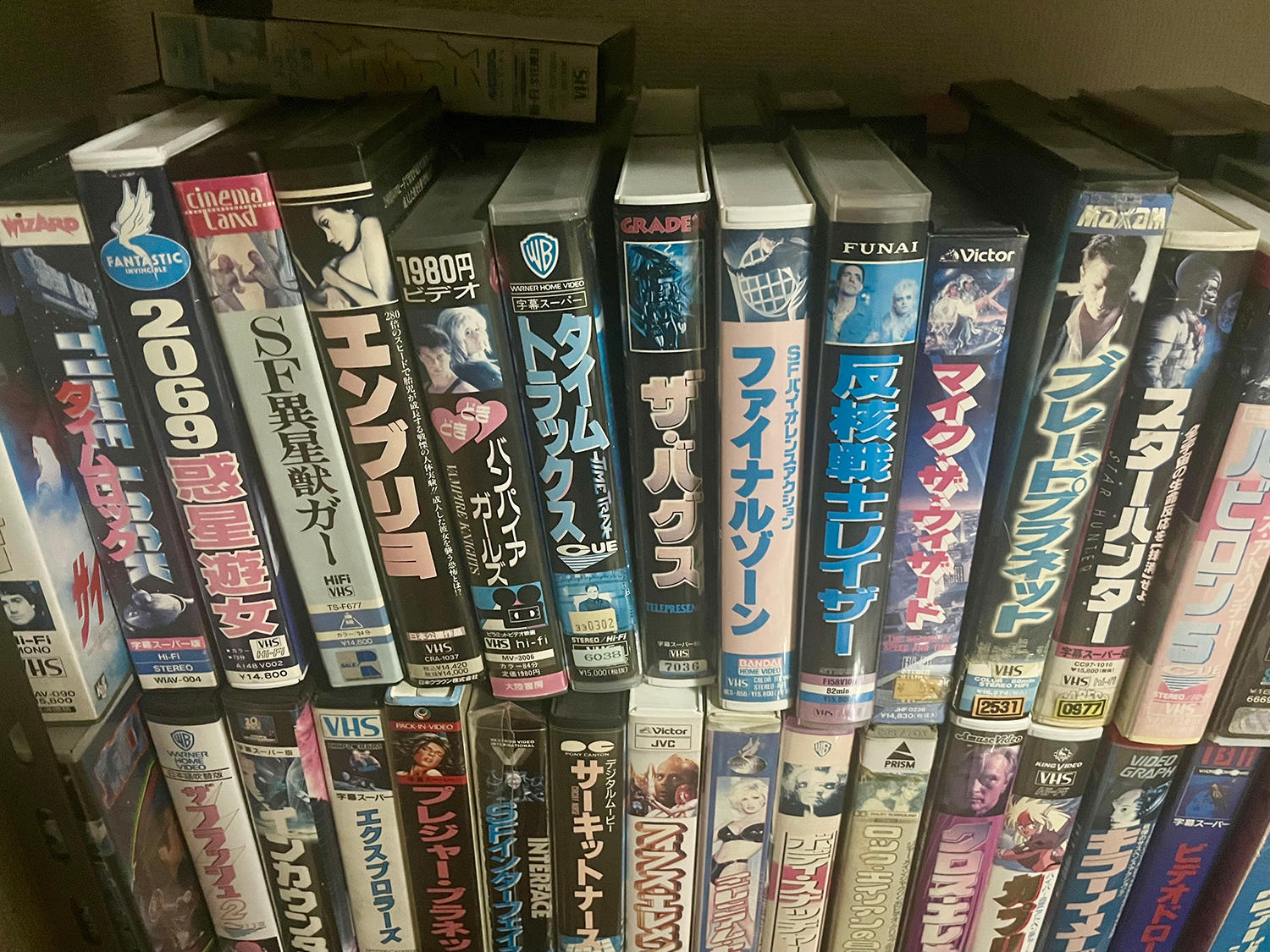 SF-VHS棚_1500.jpg