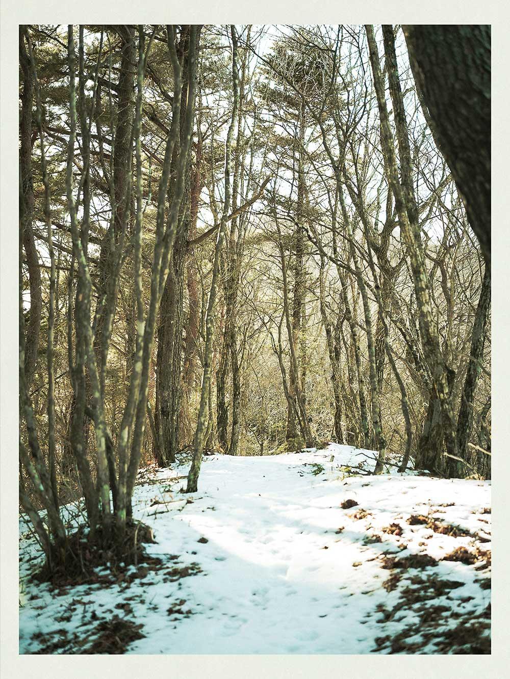 snow-1.jpg