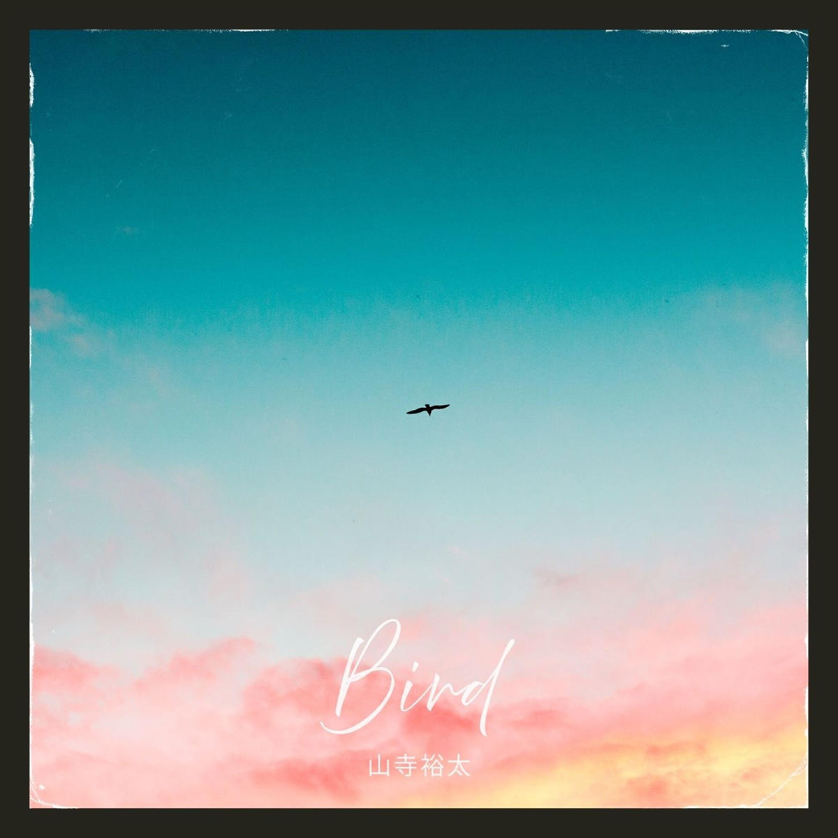 Bird_山寺_jk_20251001.jpg