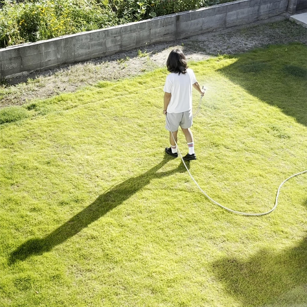 ただ、選ばれただけ_Mop_jk_20250827.jpg