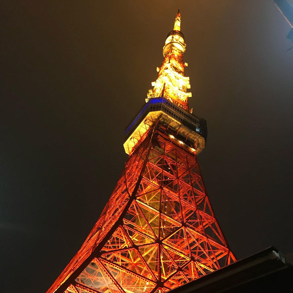 東京タワー_Cape-of-good-hope_jk_20250604.jpg