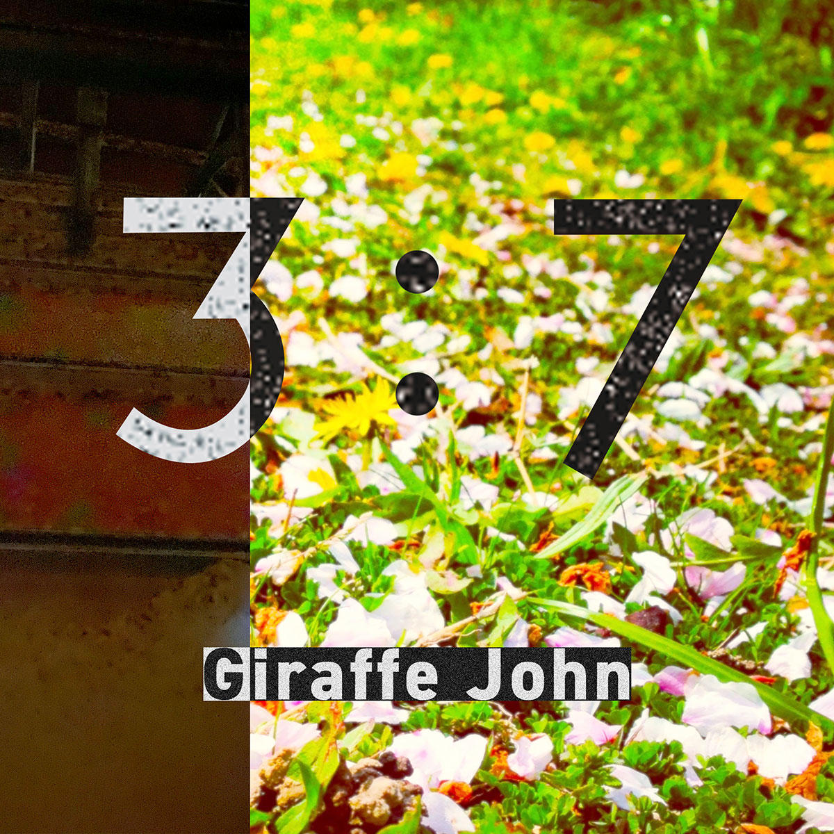 37_giraffejohn_jk_20250513.jpg