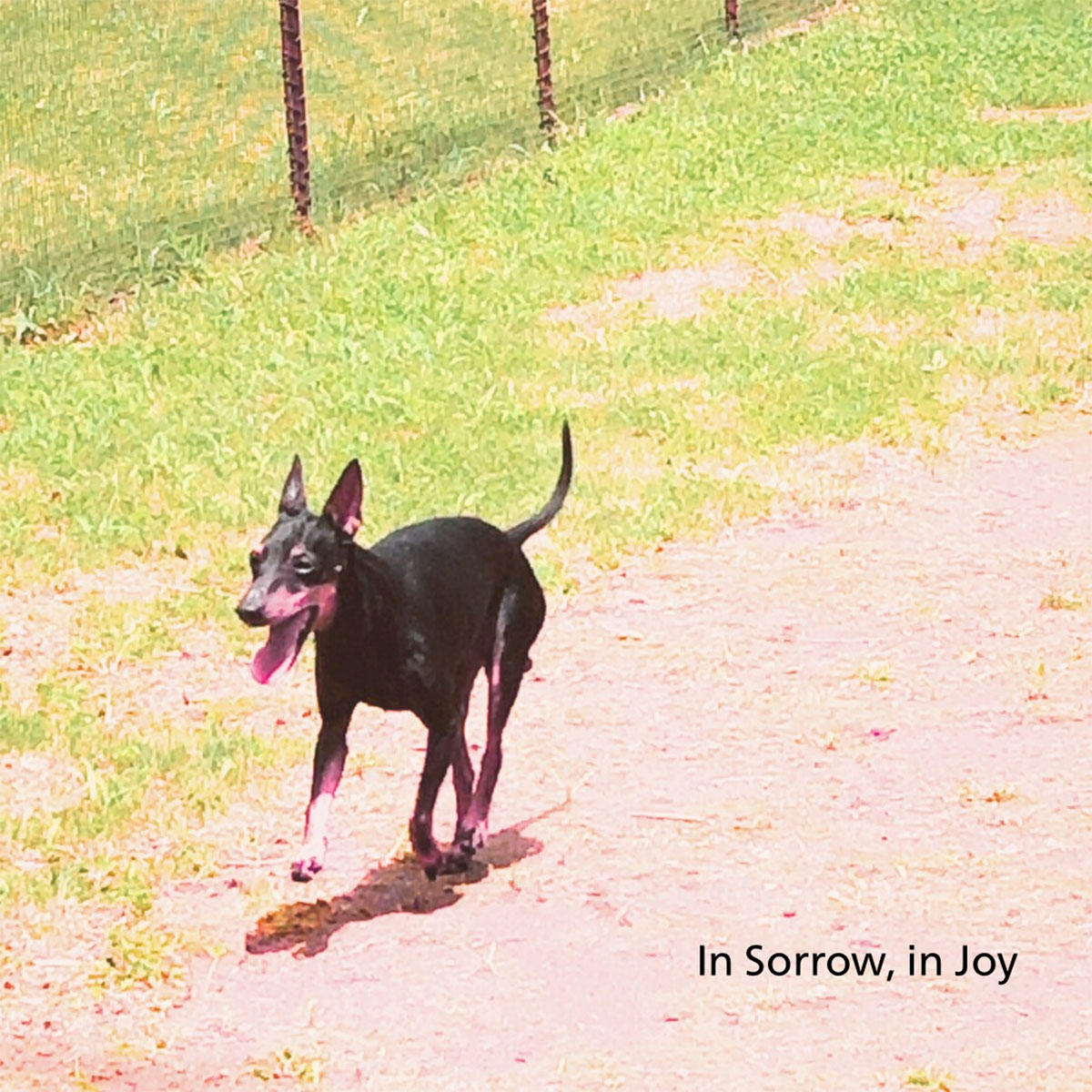 In-Sorrow,-in-Joy_-Laget's-Jam-Stack_jk_20250521.jpg