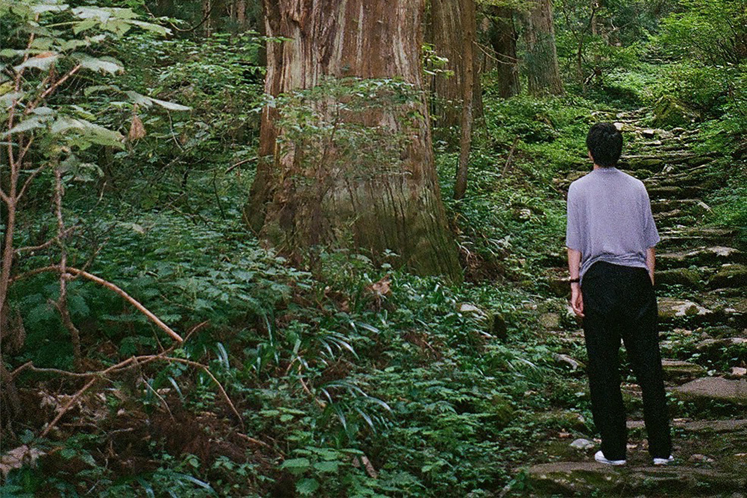 独特な視点で風景を切り取るシンガーソングライター冬山登山、初のミニ・アルバム「トラブル」リリース