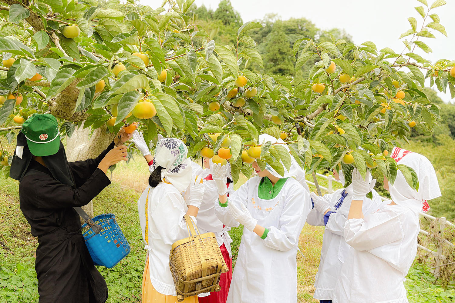佐渡ヶ島のポップユニット婦人倶楽部、9年ぶりの2ndアルバム「婦人日和」11月5日リリース&川島小鳥が撮影した新アー写公開
