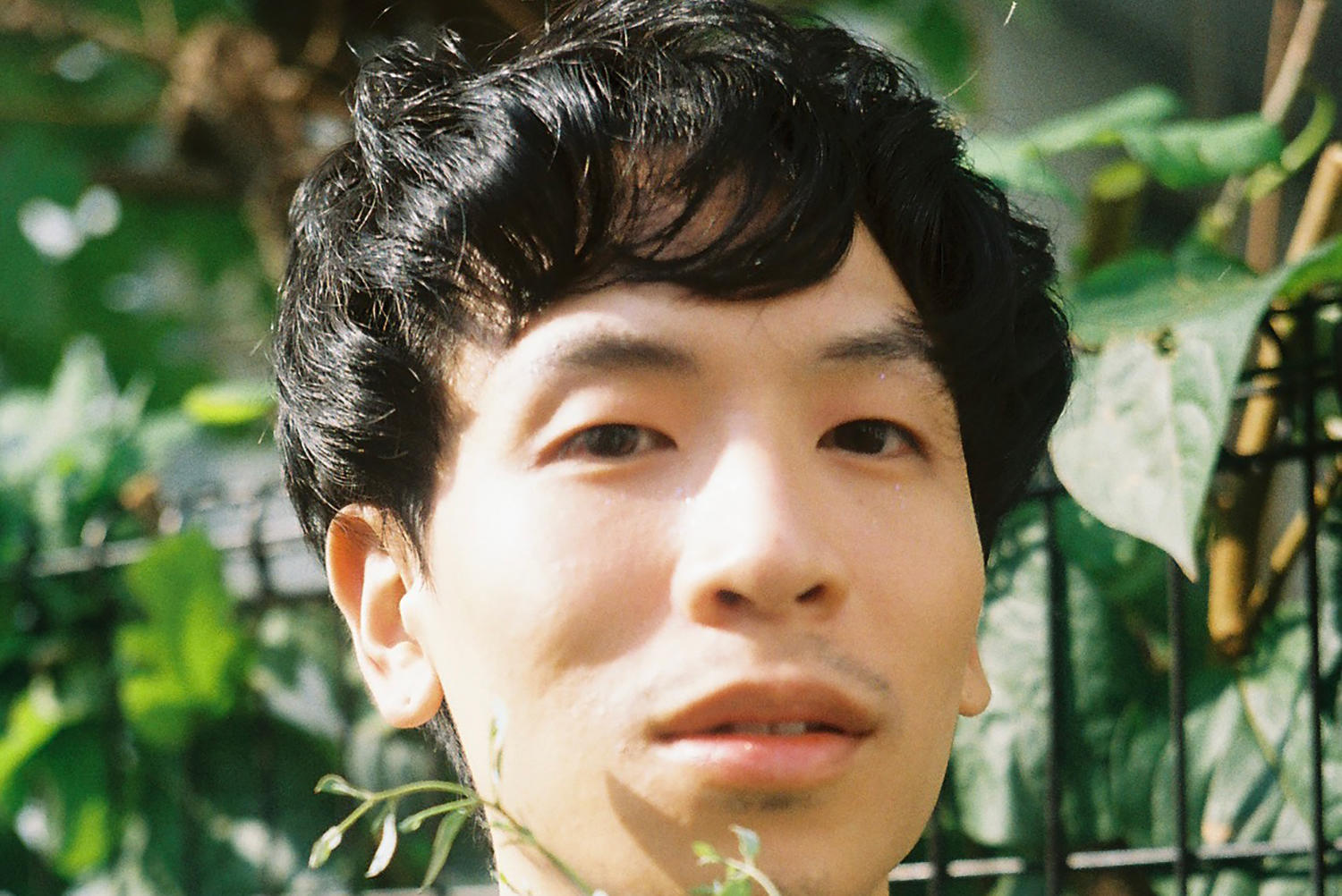 出血性ウイルス性疾患