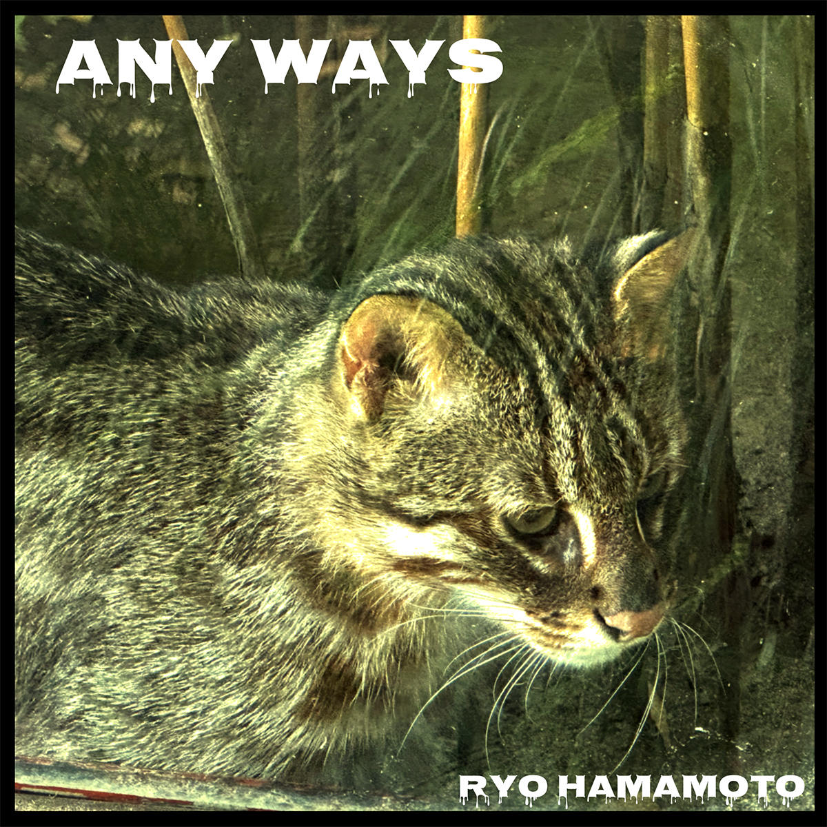 Any-Ways-Art-Work_RYO-HAMAMOTO_jk_20251015.jpg