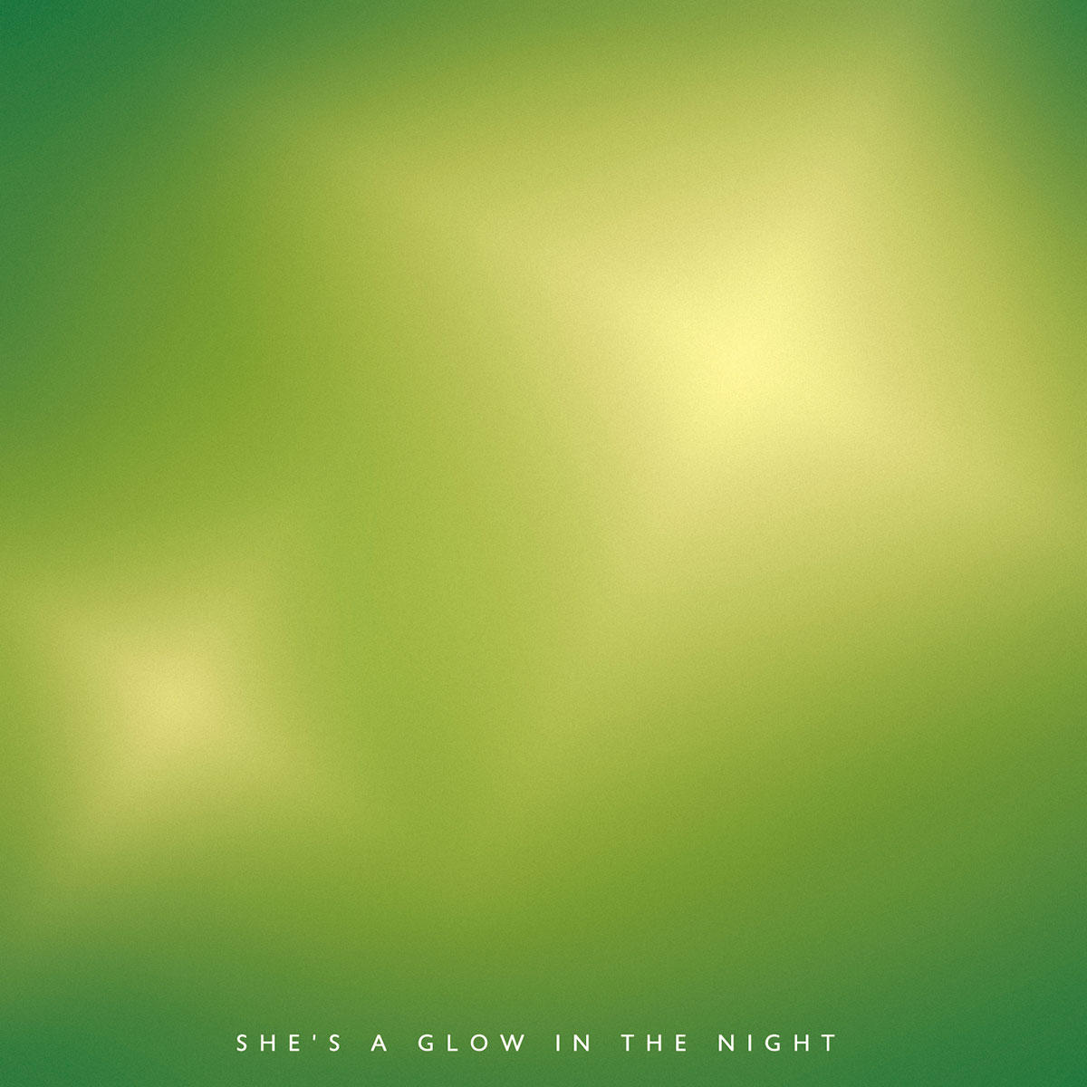 Daisy_jk_1200_20210824.jpg