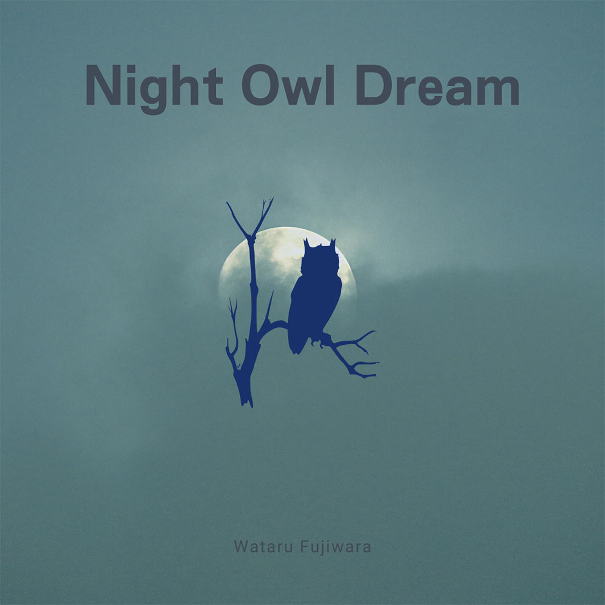 Night-Owl-Dream_Wataru-fujiwara_jk_20230713.jpg