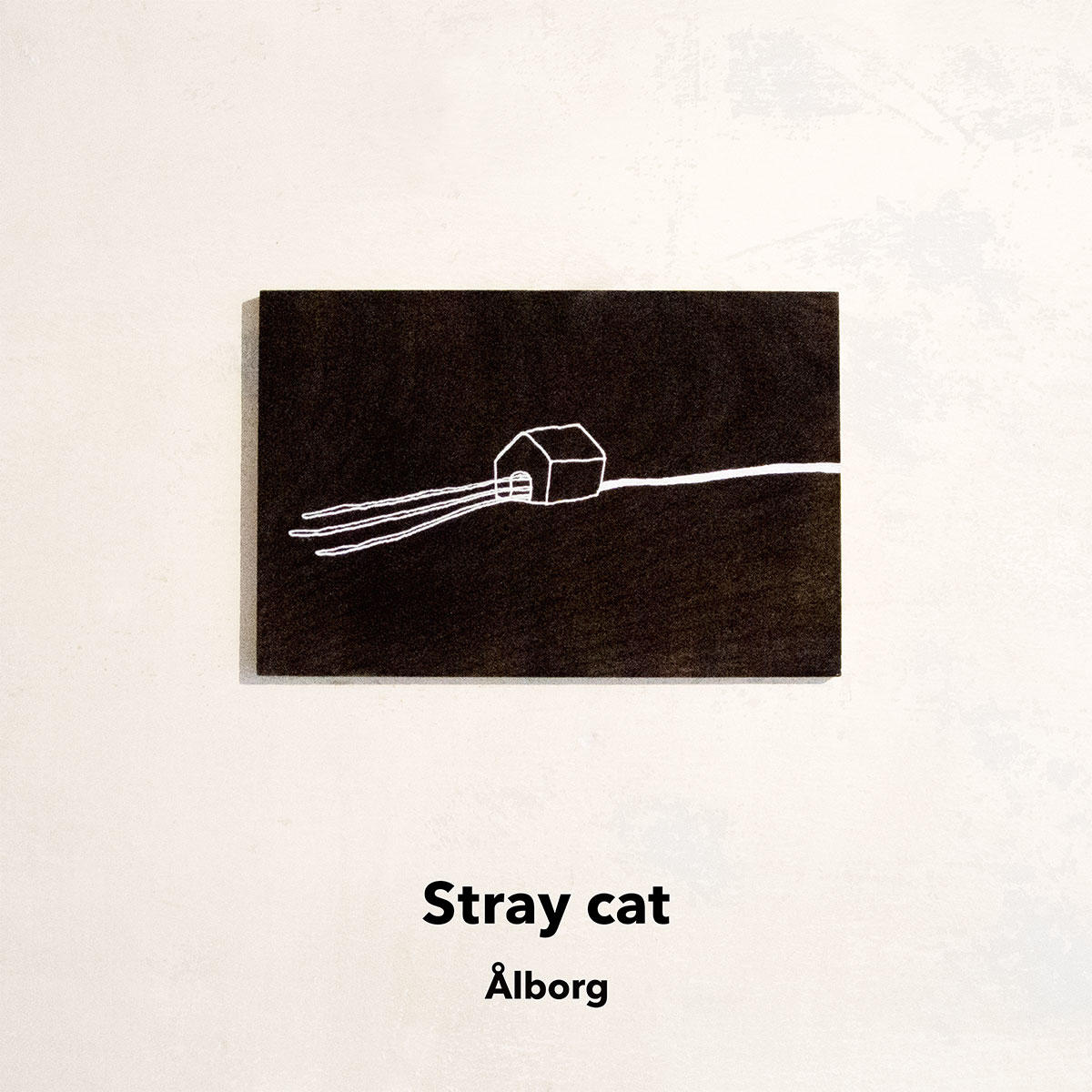 Straycat_Alborg_JK_20221014.jpg