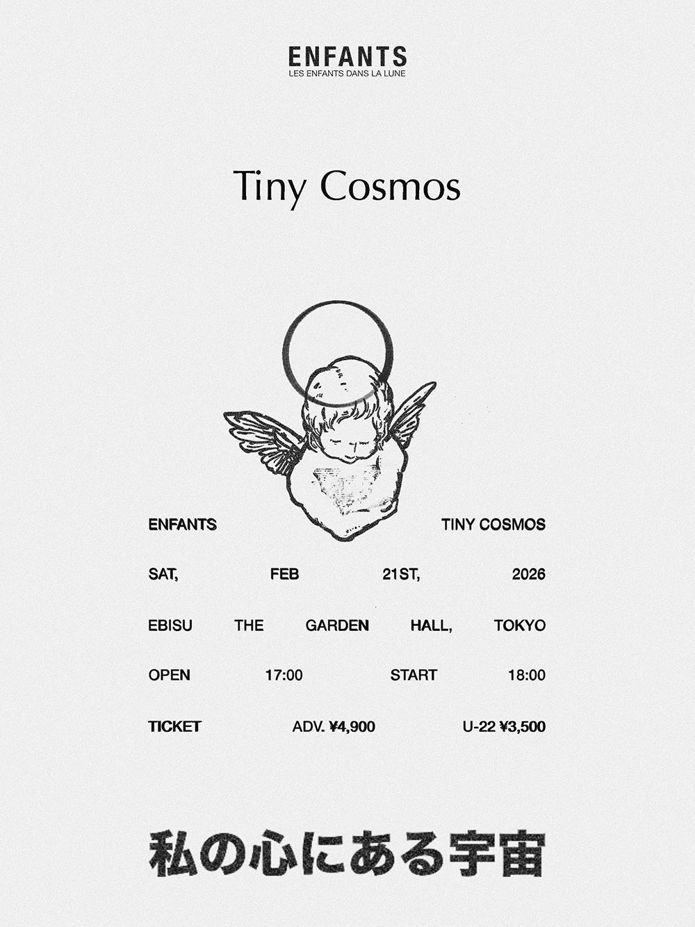 Tiny-Cosmos_main_1000.jpg