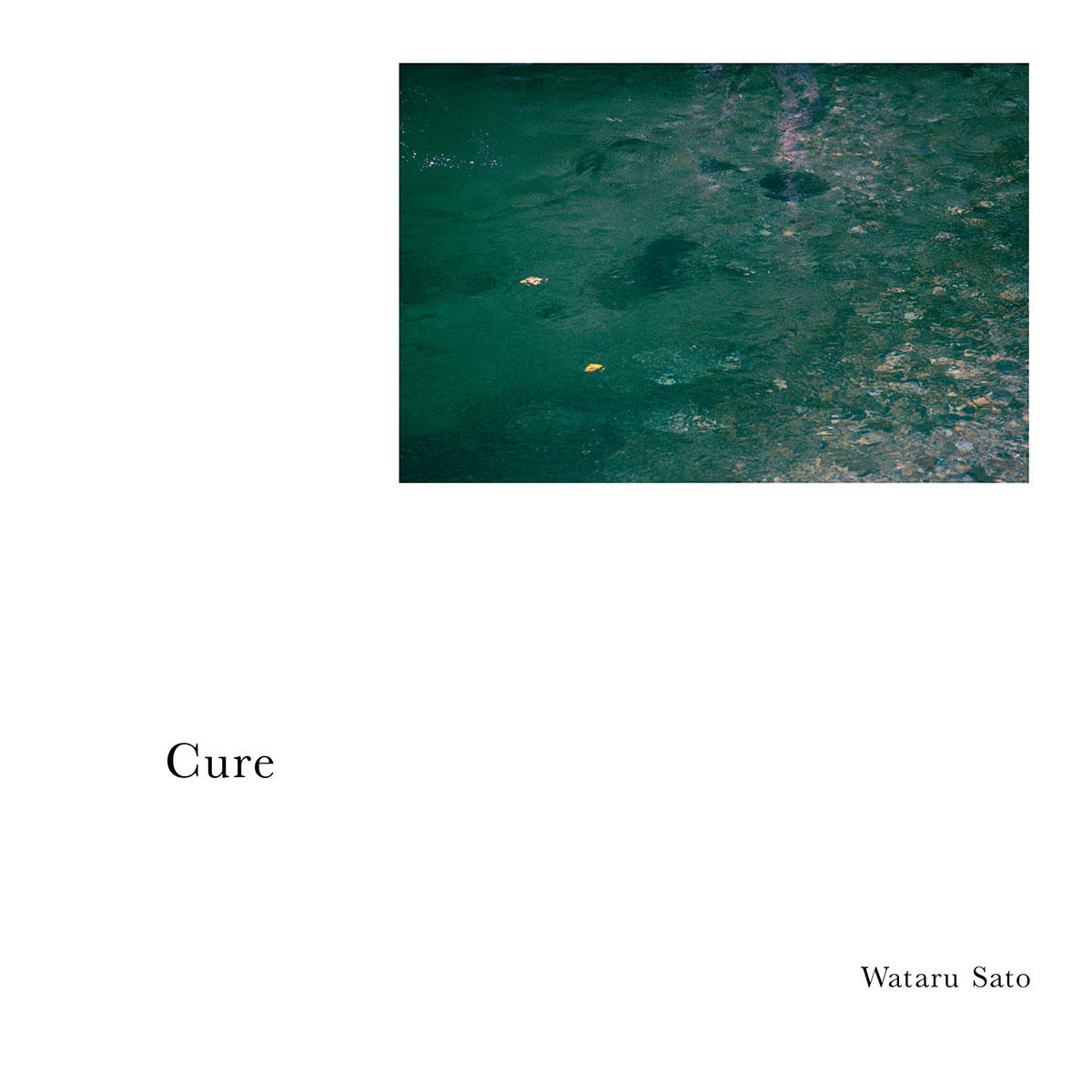 Wataru-Sato_Cure_jk_20251114.jpg