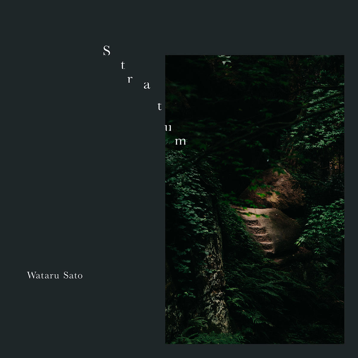 Wataru-Sato_Stratum_jk_20251024.jpg