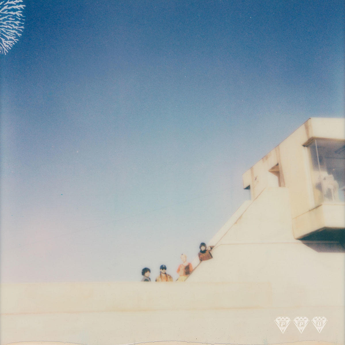 Where They Dwell_TAMTAM_jk_20250523.jpg