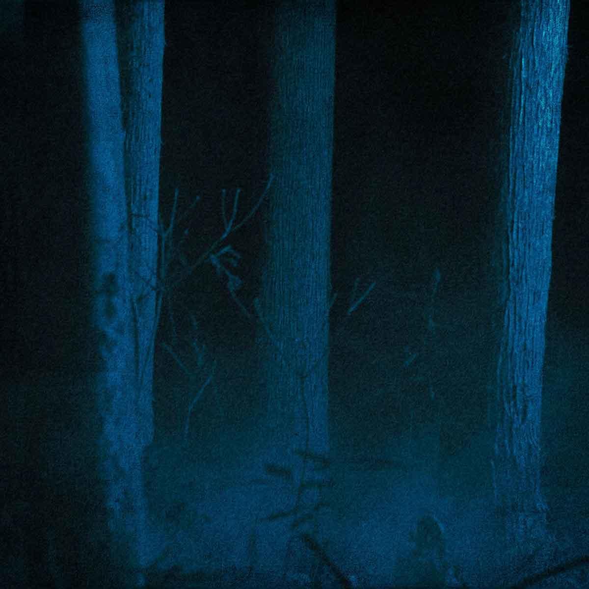 bat_jk_1200_20201216.jpg