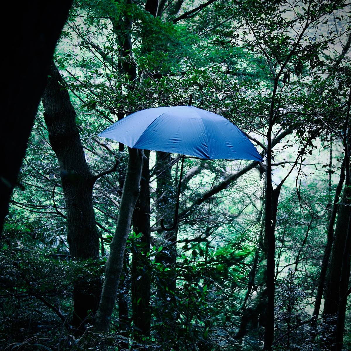 秘密基地_heavenstamp_jk_20250702.jpg