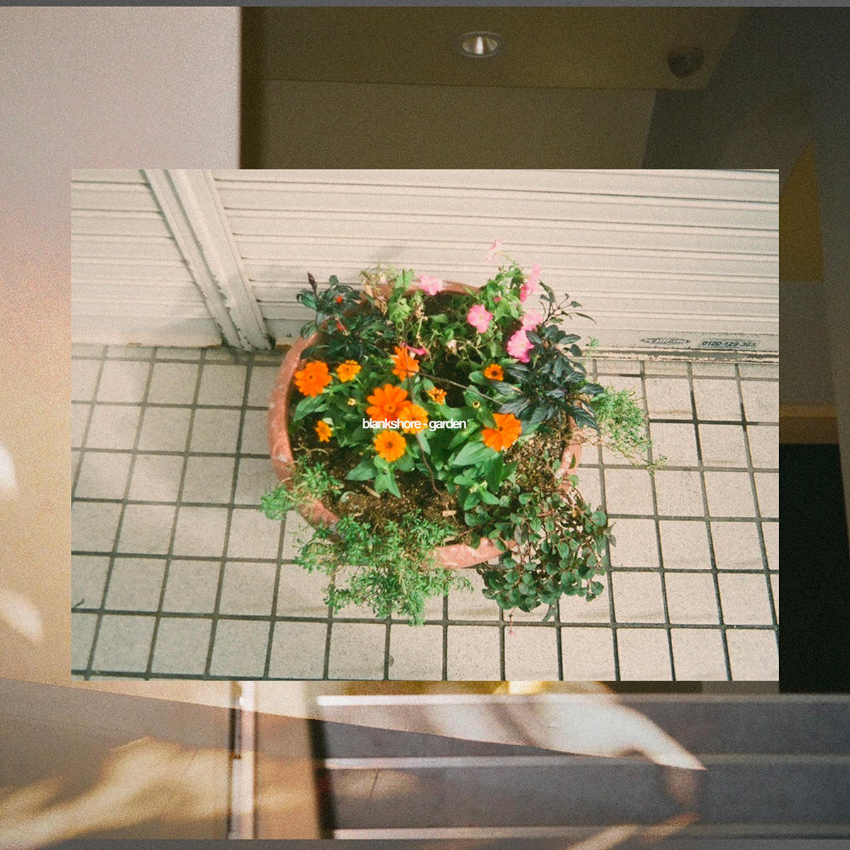 blankshore_garden_jk_20250723.jpg