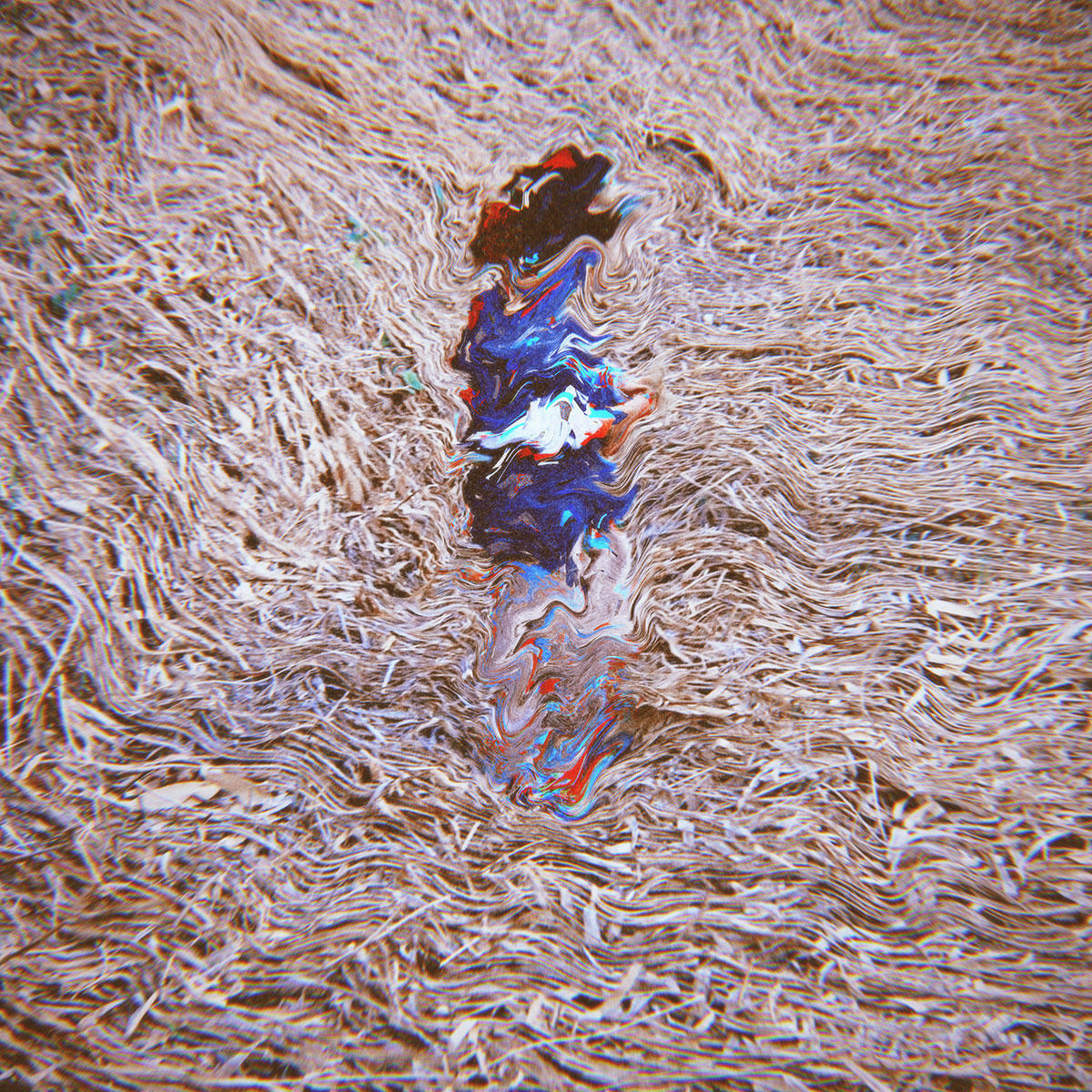 dansa_jk_1200_20210804.jpg