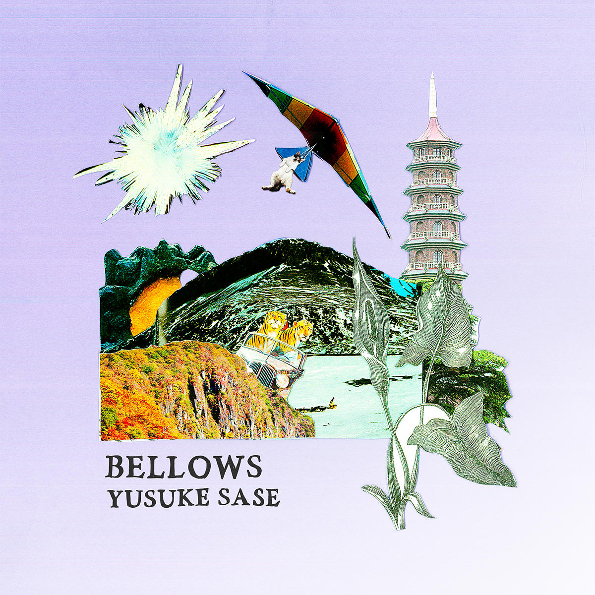 BELLOWS_佐瀬悠輔_jk_20250710.jpg