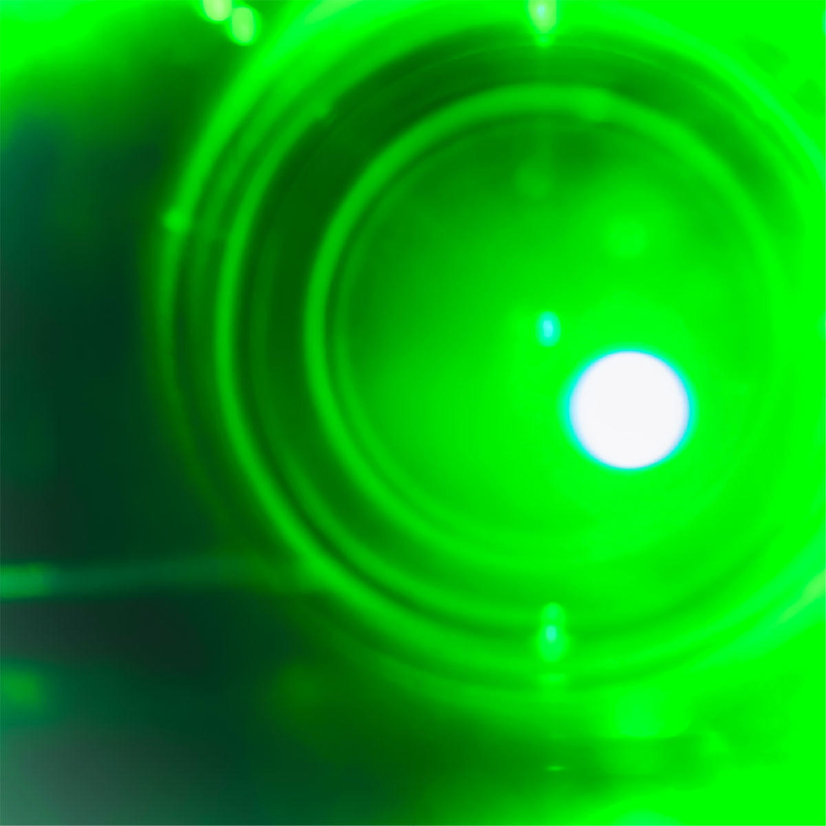 greens_soft_jk_20250516.jpg
