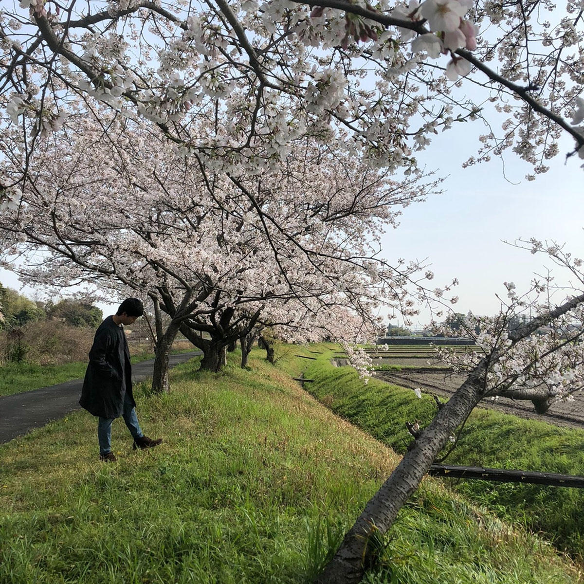 haruwomatubokura_hosovoso_jk_20220318.jpg