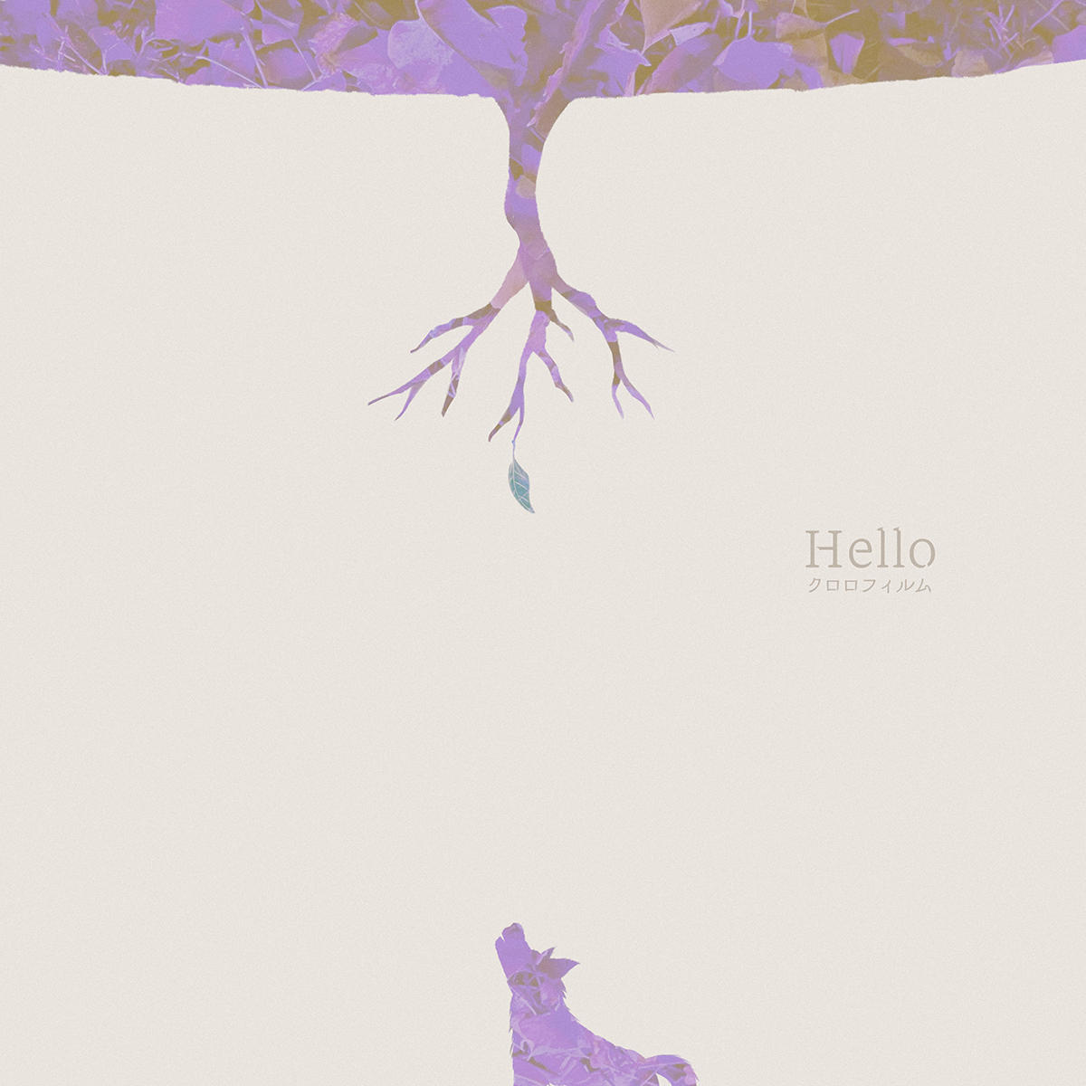 Hello_クロロフィルム_jk_20260429.jpg
