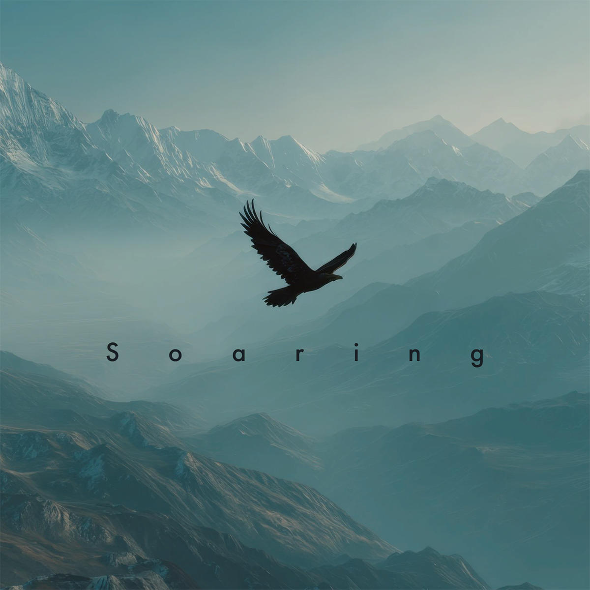 Soaring_水中スピカ_jk_20251217.jpg