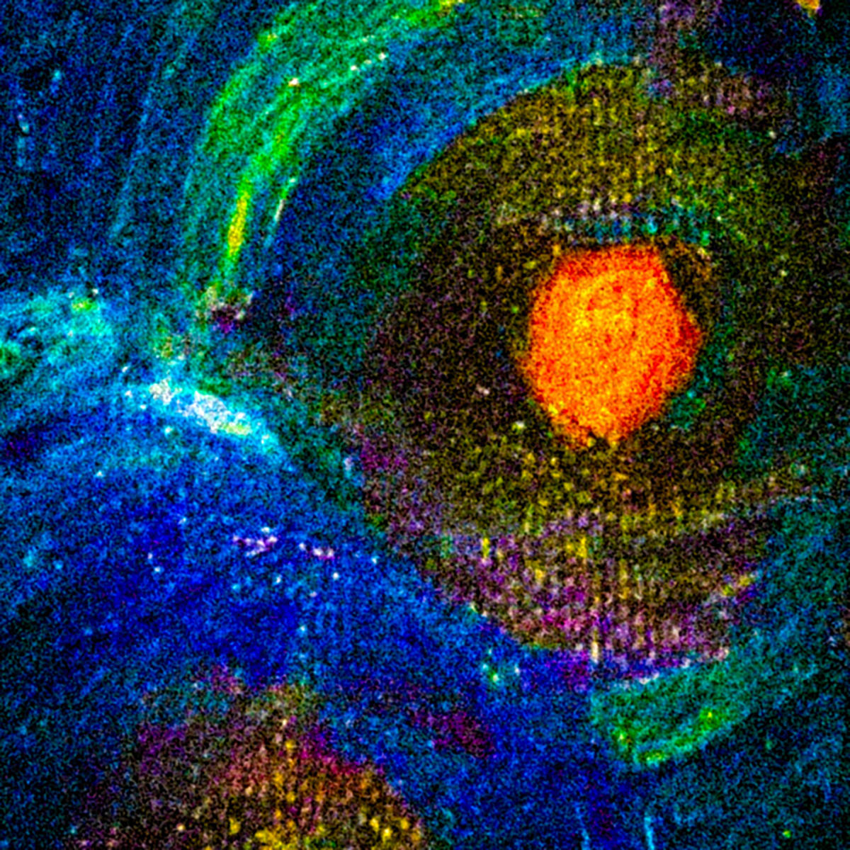 Pona_火星_jk_20260916.jpg