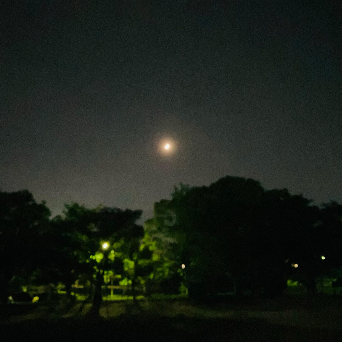 浅い眠り_HoSoVoSo_jk_20260806.jpg