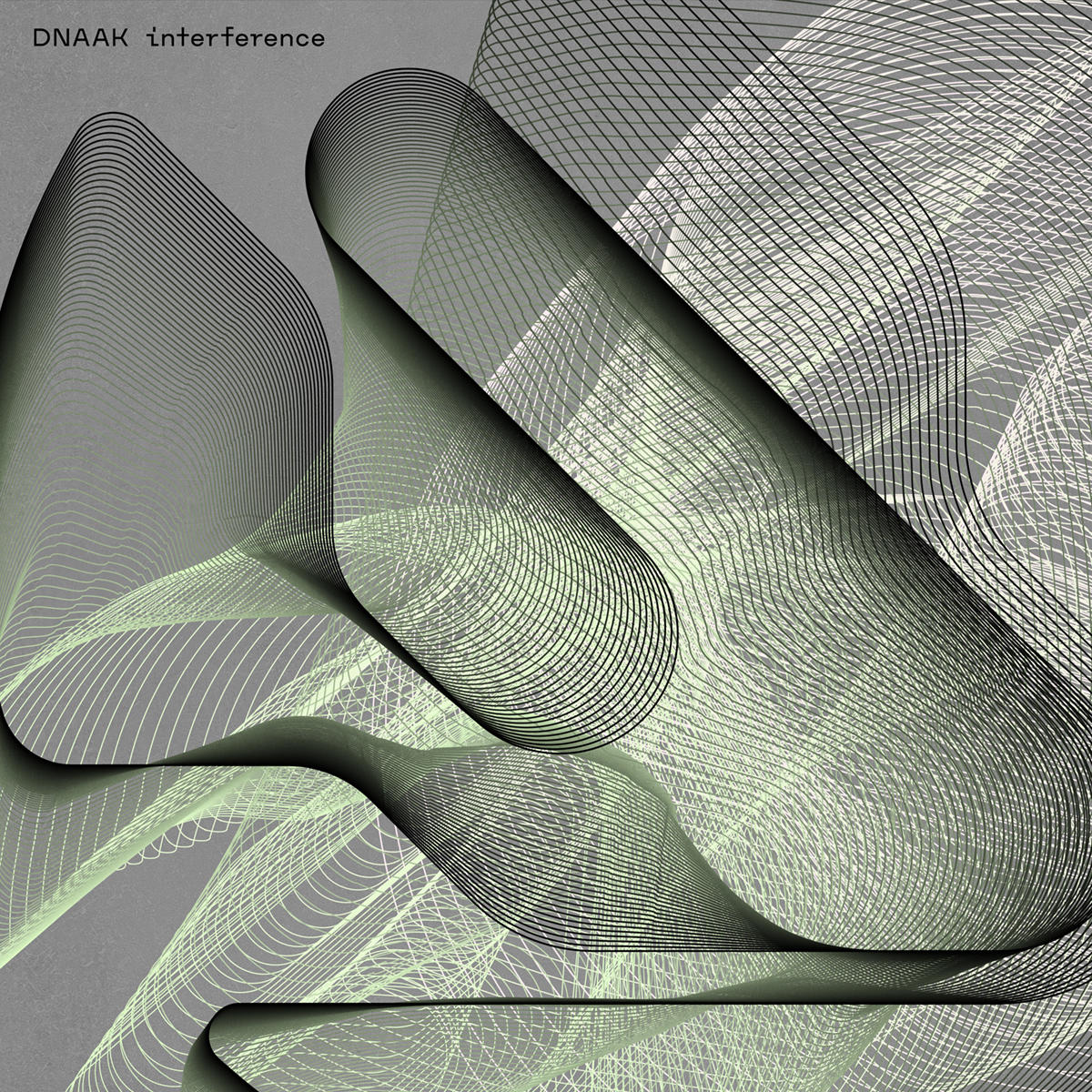 DNAAK_interference_cover_1200_261015.jpg