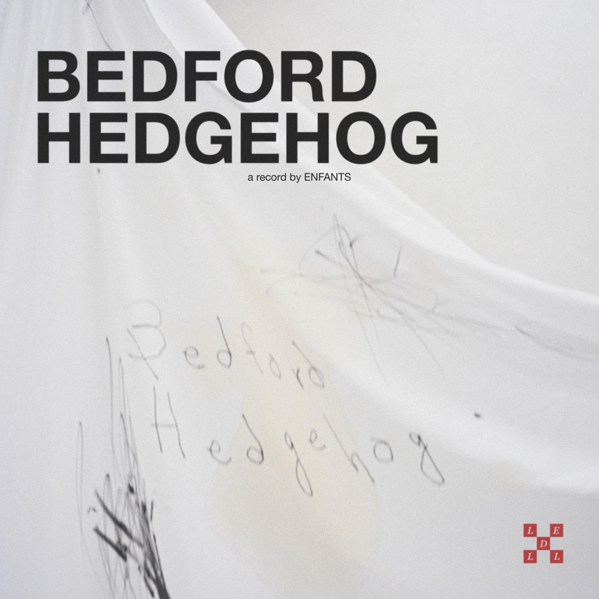 Enfants_Bedford-hedgehog_JK_20251212.jpg