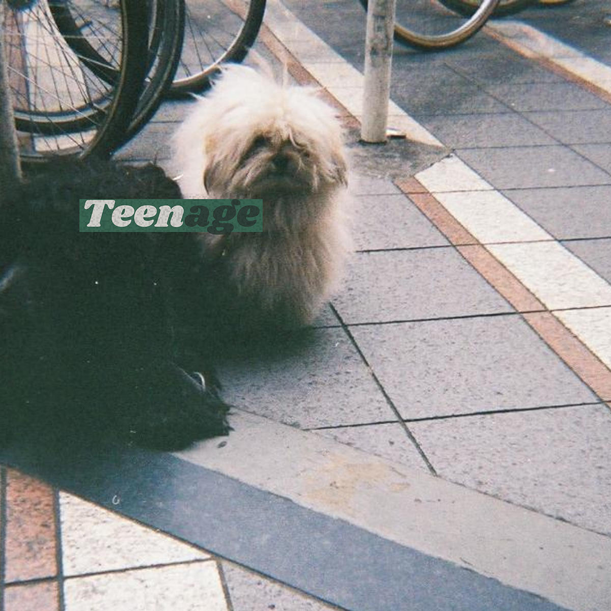 Teenage_Looisbos_jk_20260603.jpg