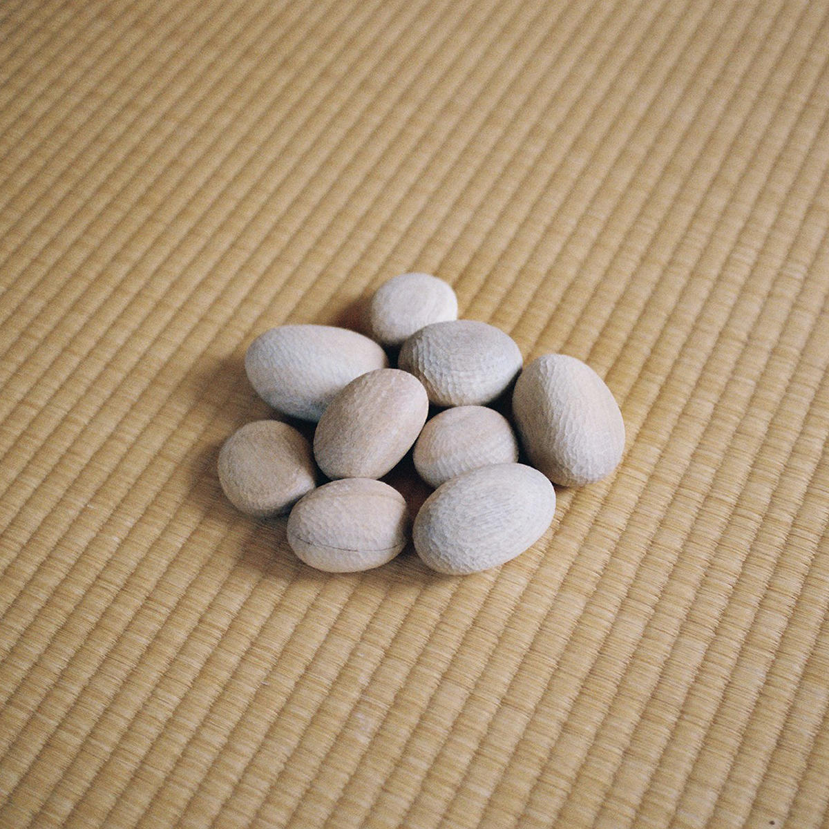 過ぎゆく_三田珠理_jk_20260909.jpg