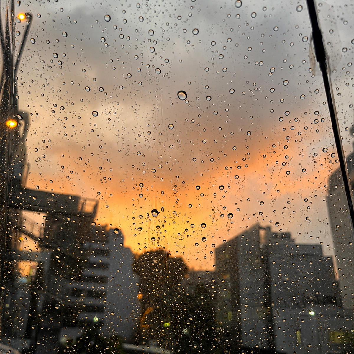 acidrain_burnque_jk_20260616.jpg