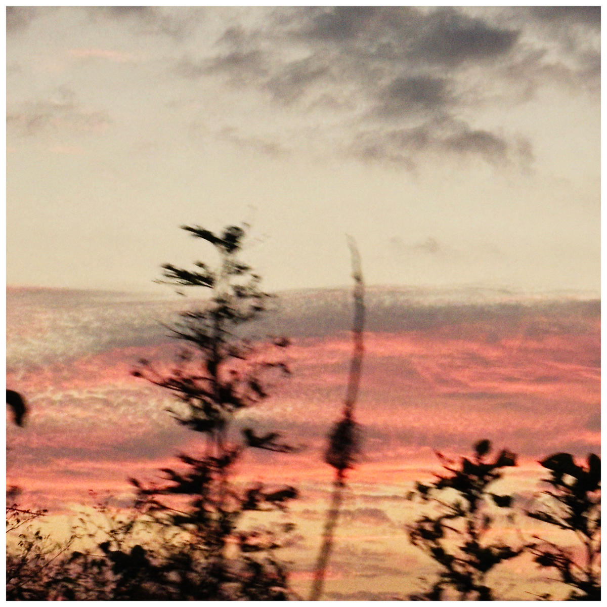 at-dusk_lolet_jk_20261016.jpg