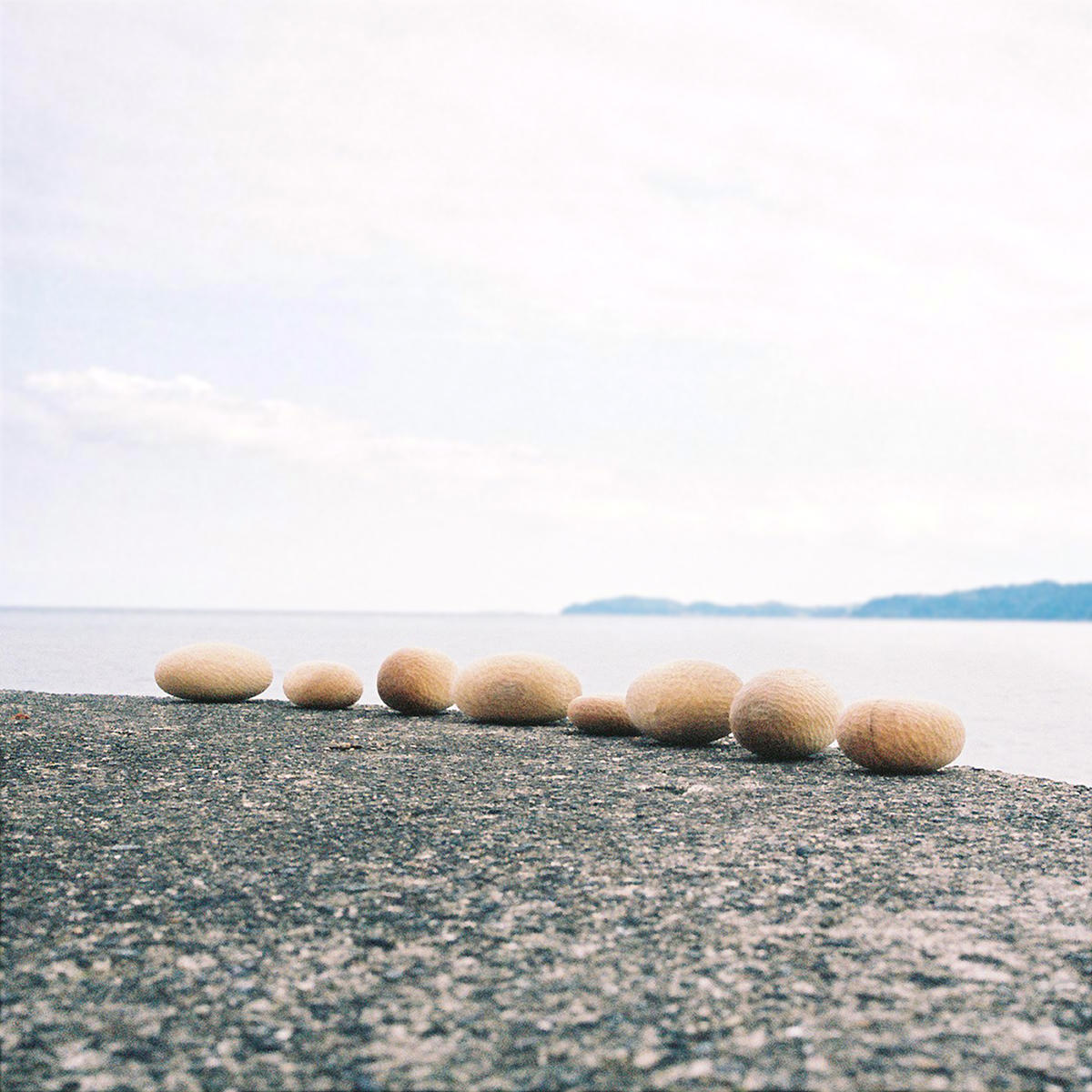 夢の海_三田珠理_jk_20260811.jpg