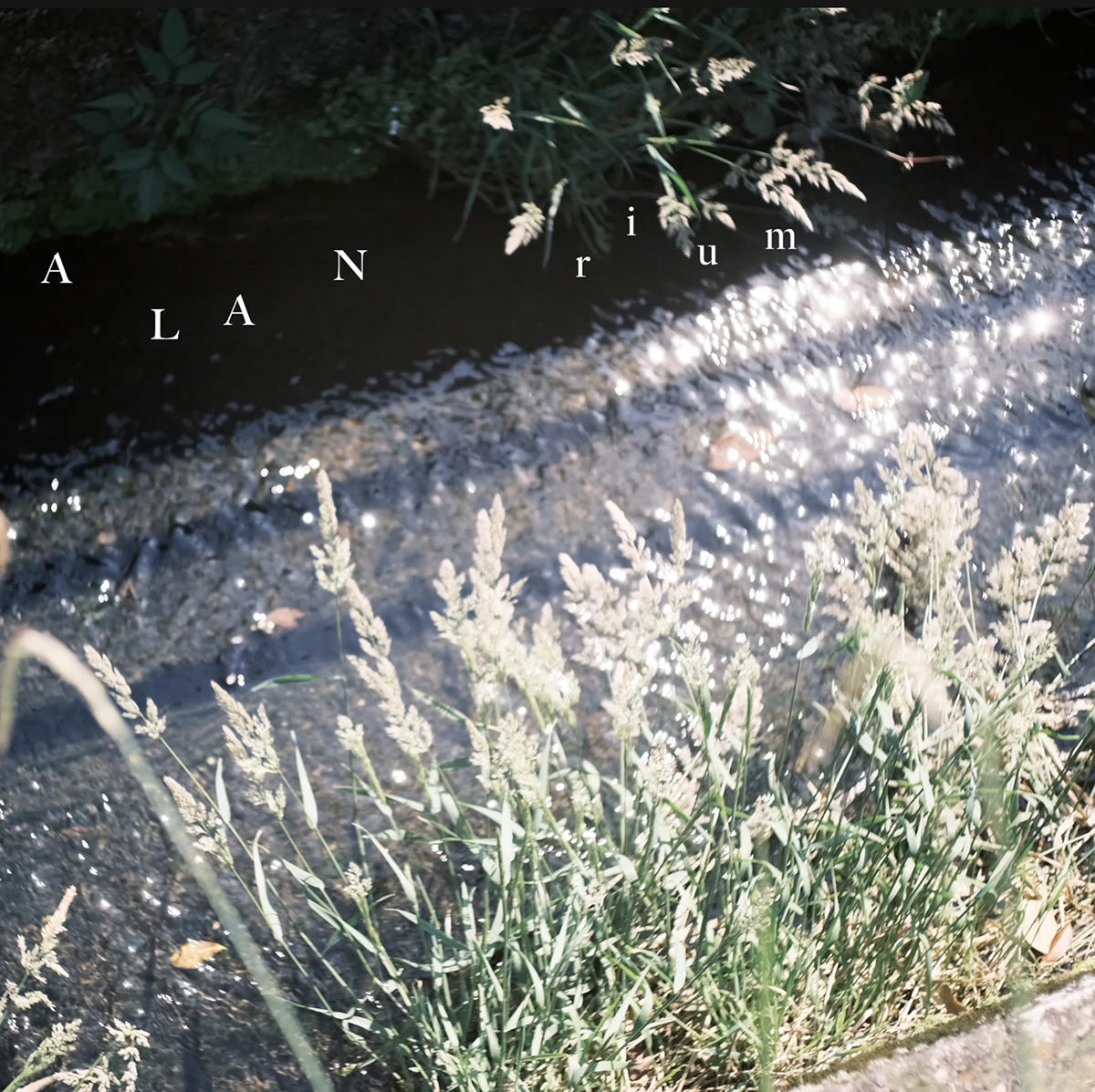rium_alan_jk_20261020.jpg