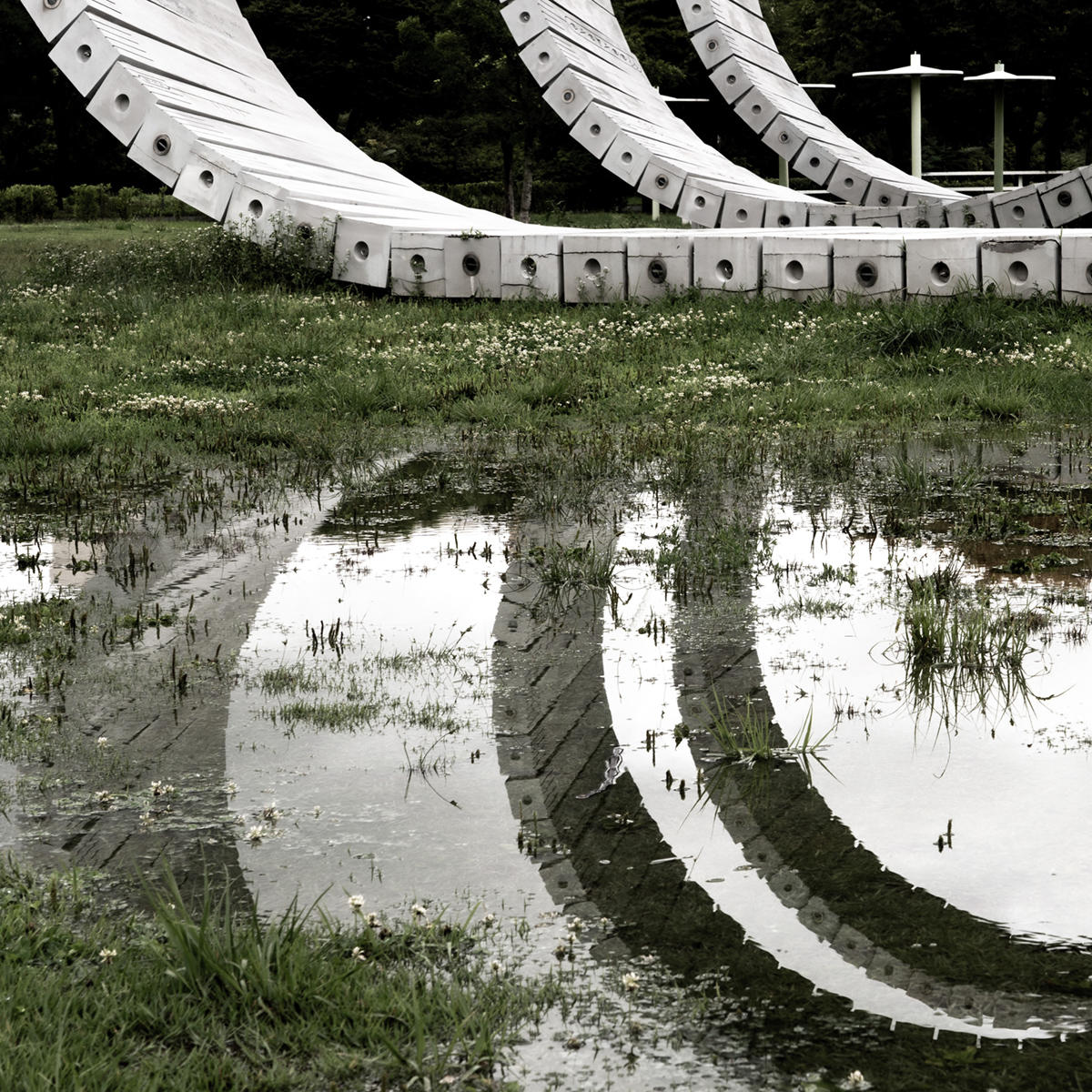 rurikouryou_jk_1200__261015.jpg