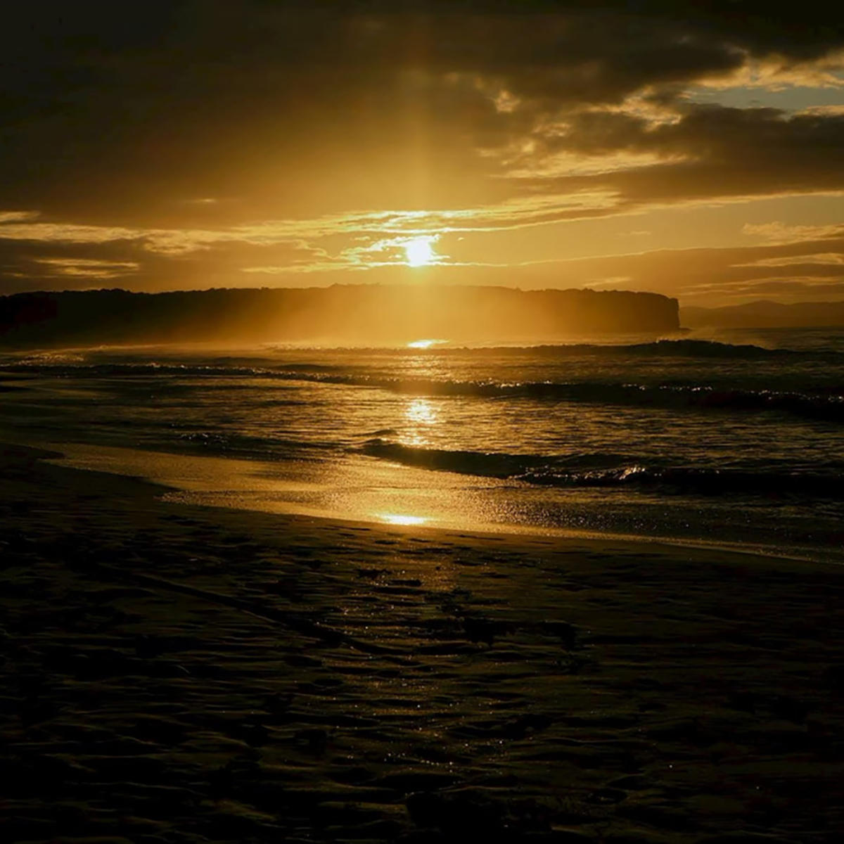 somewhere-by-the-beach_Shimon-Hoshino_jk_20260729.jpg