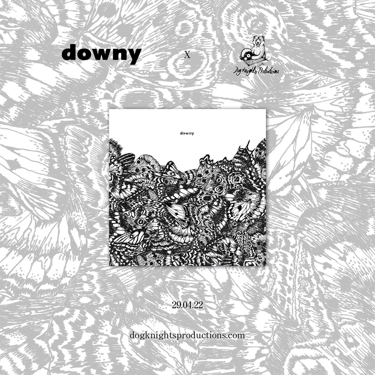 廃盤 絶盤 downy 第七作品集「無題」UK2枚組デラックス盤(LP