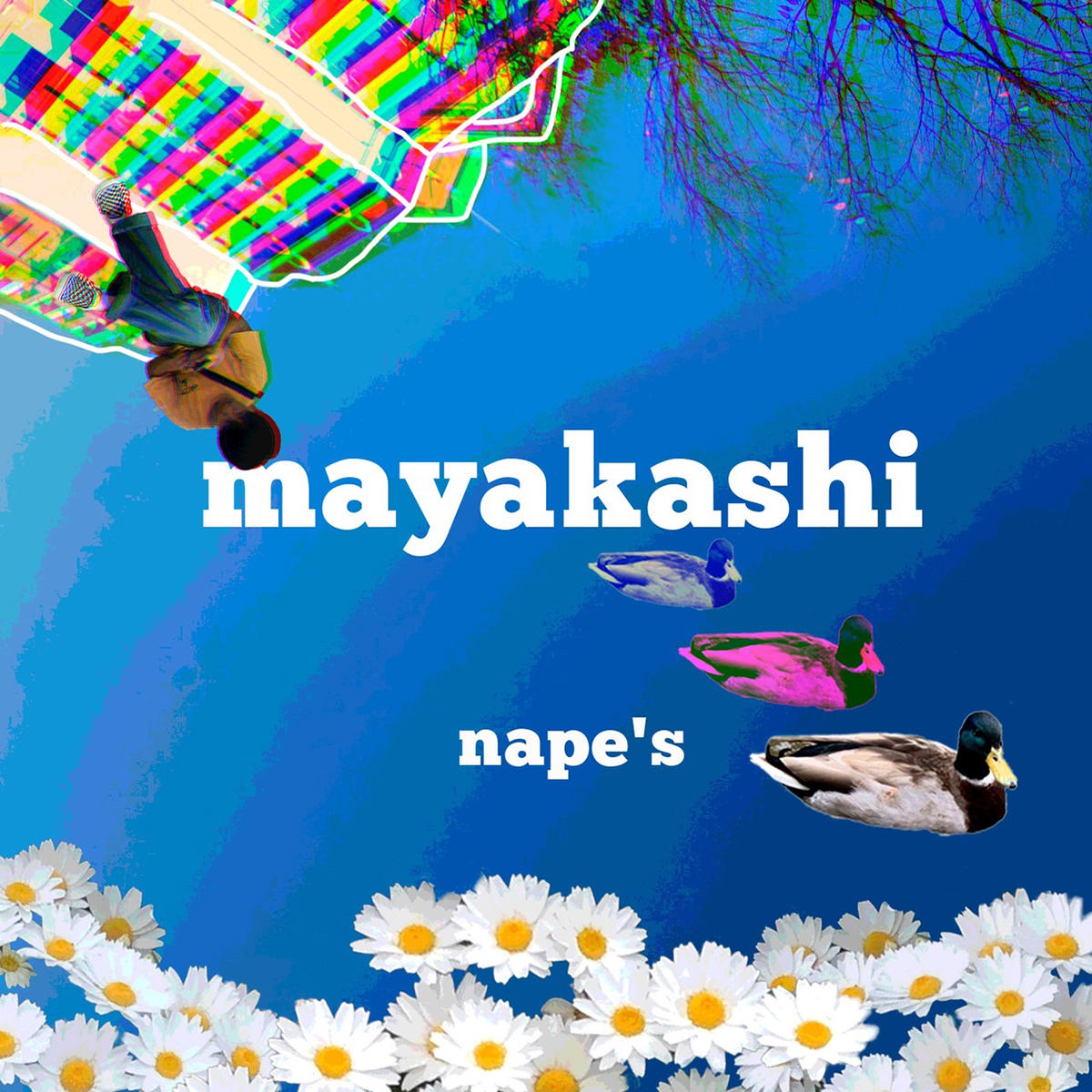 napes_jk_20200604.JPG