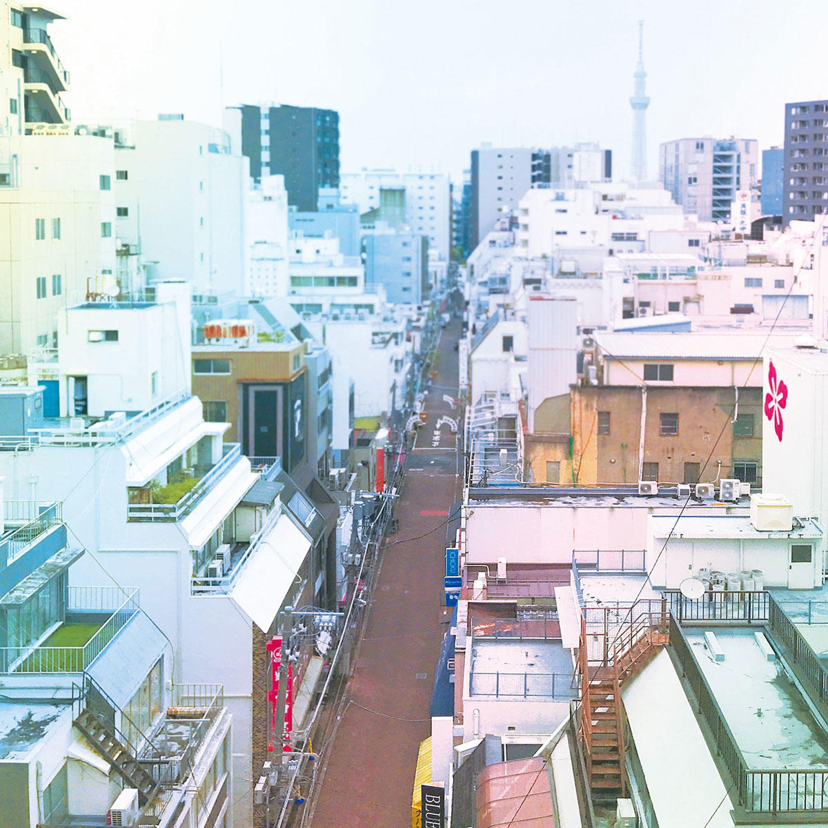 okimei_jk_1200_20210428.jpg