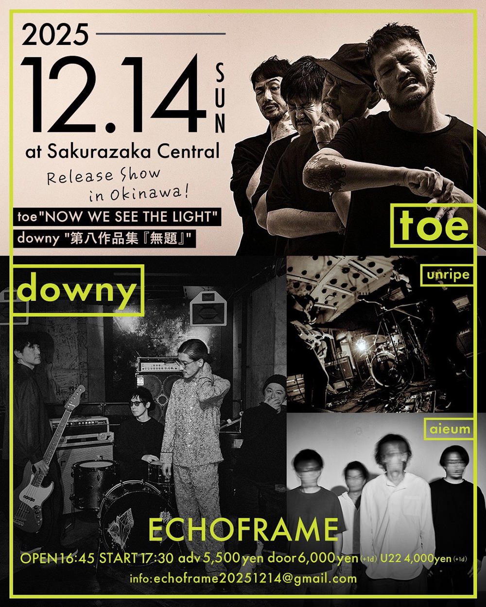 okinawa_poster_downy_toe_1000_20250804.jpg