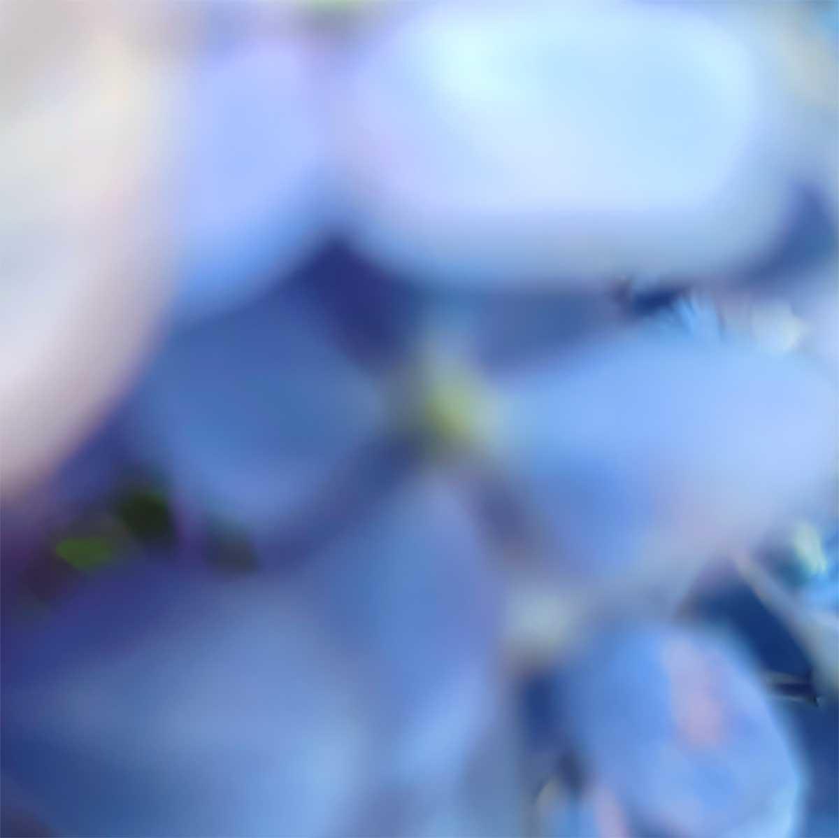 sot_jk_1200_0725.jpg